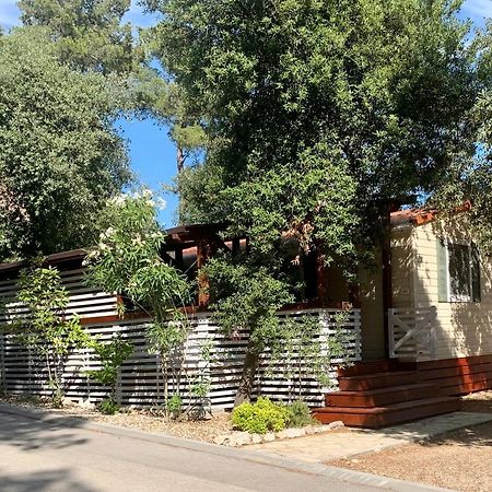 Pine And Lavander Home Биоград на Мору Екстериор снимка