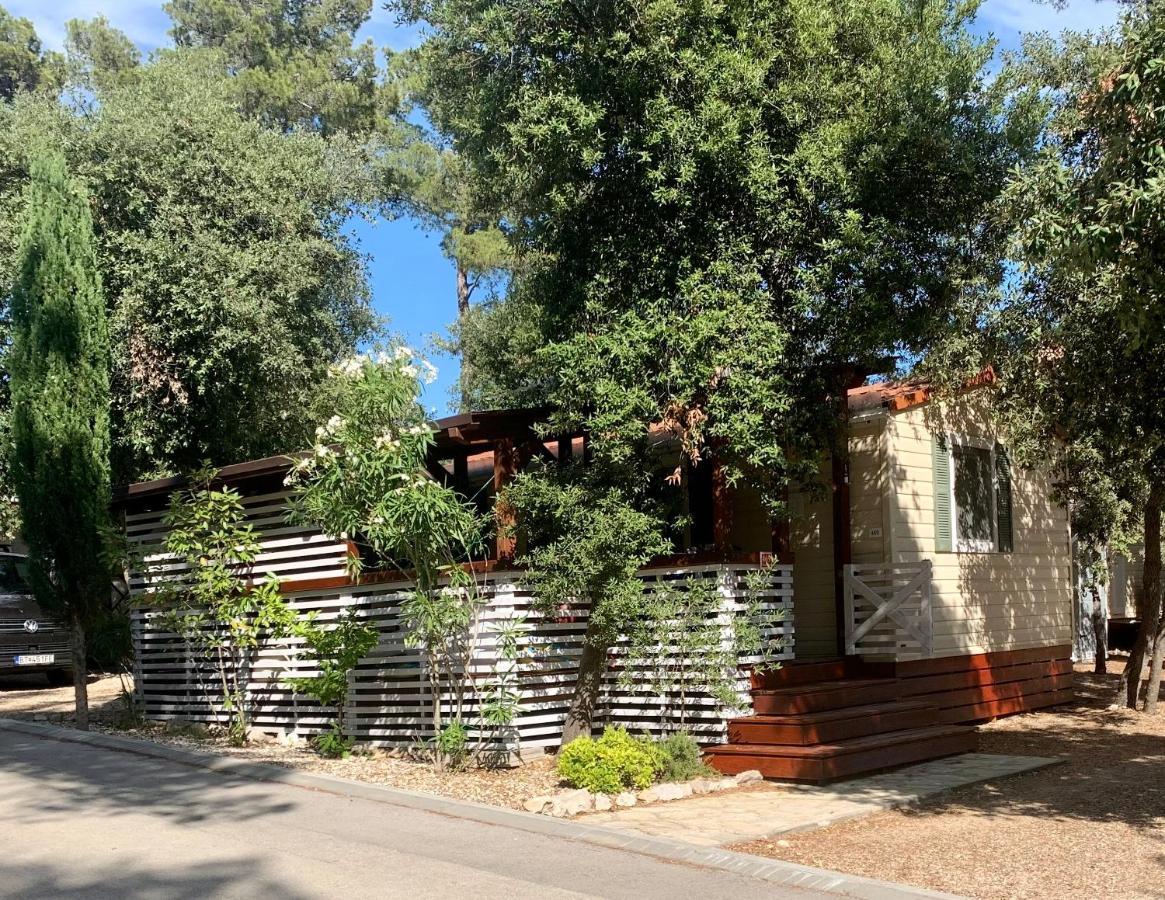 Pine And Lavander Home Биоград на Мору Екстериор снимка